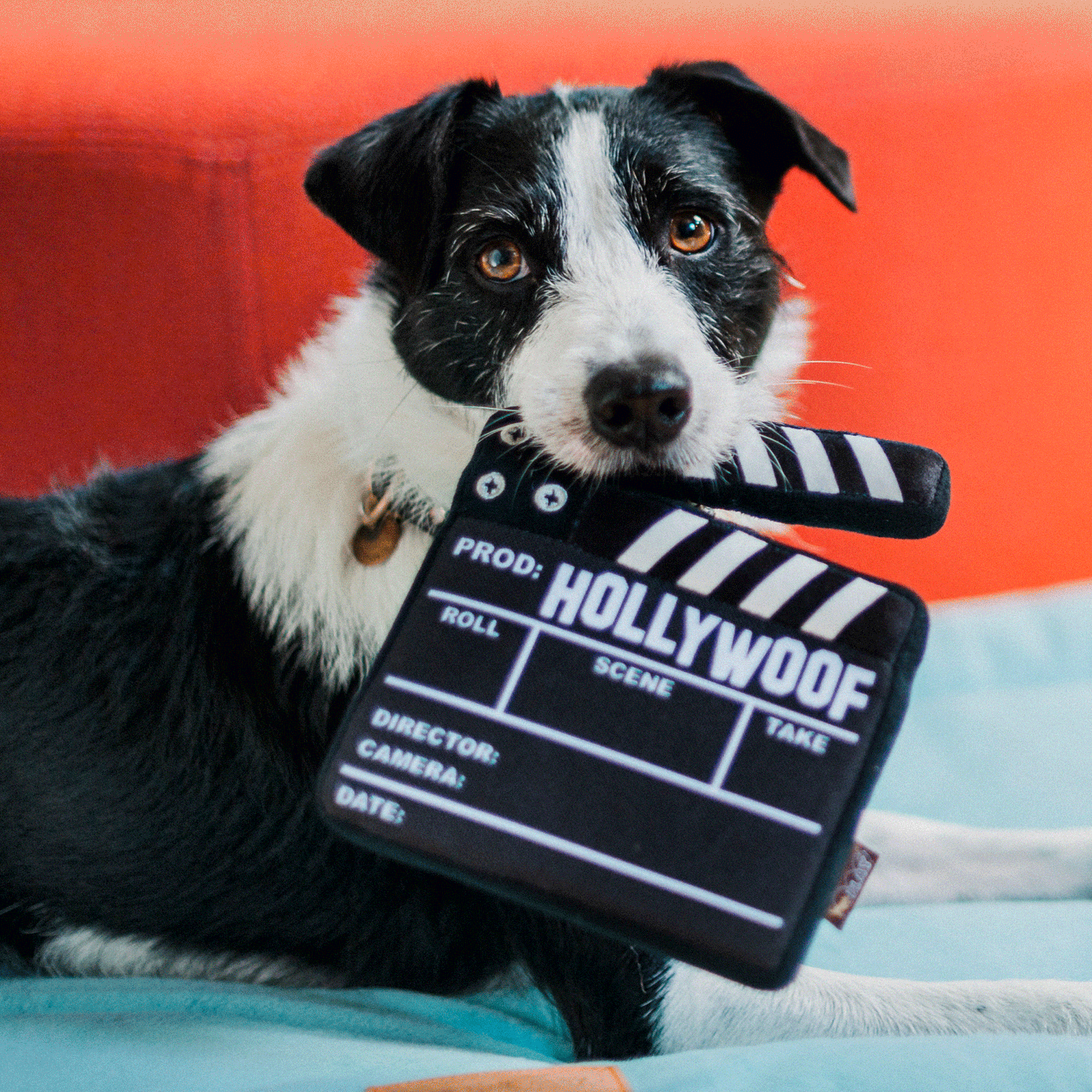 Hollywoof Cinema Collection – Doggy Director lentos žaislas