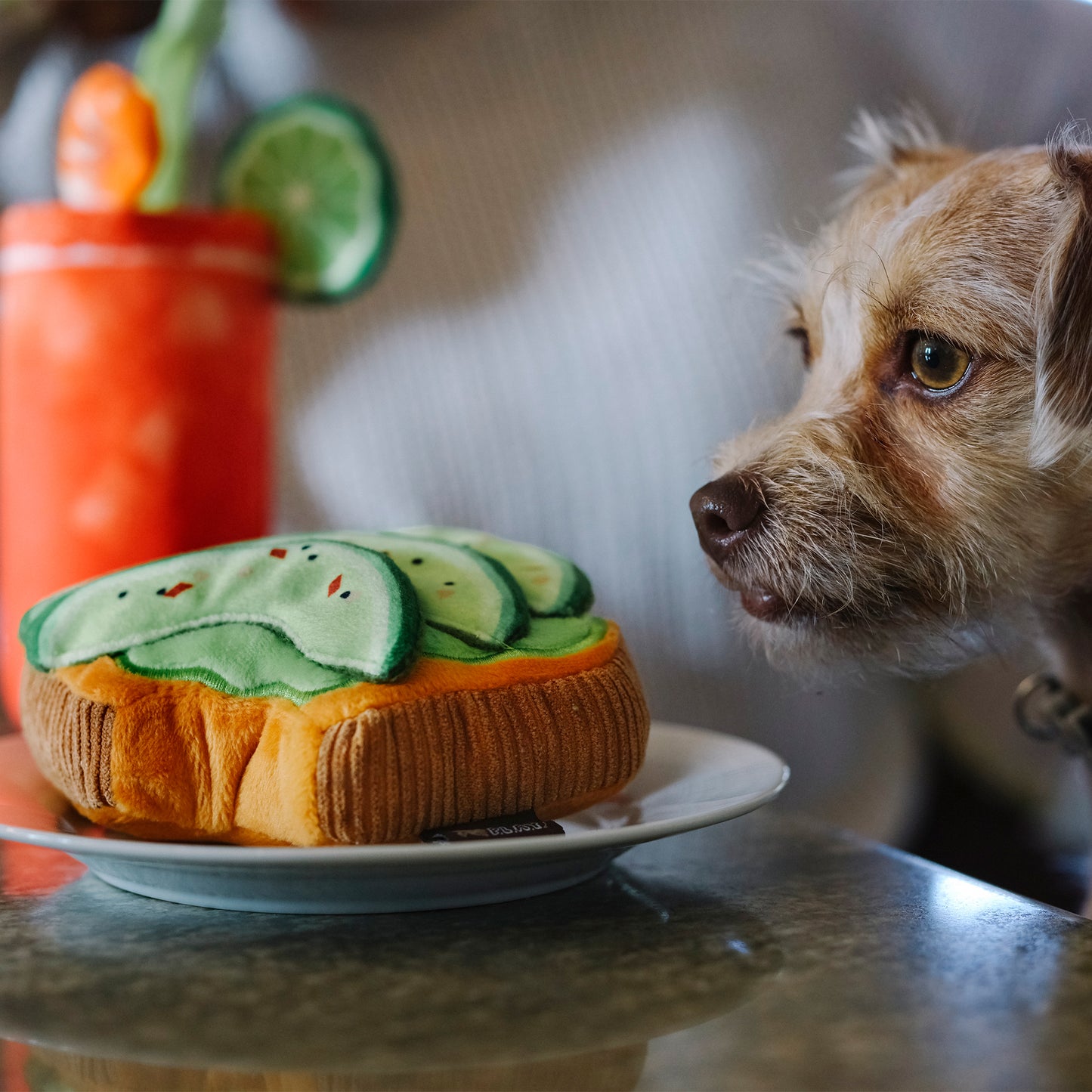Barking Brunch kolekcija - Avocado Toast Toy