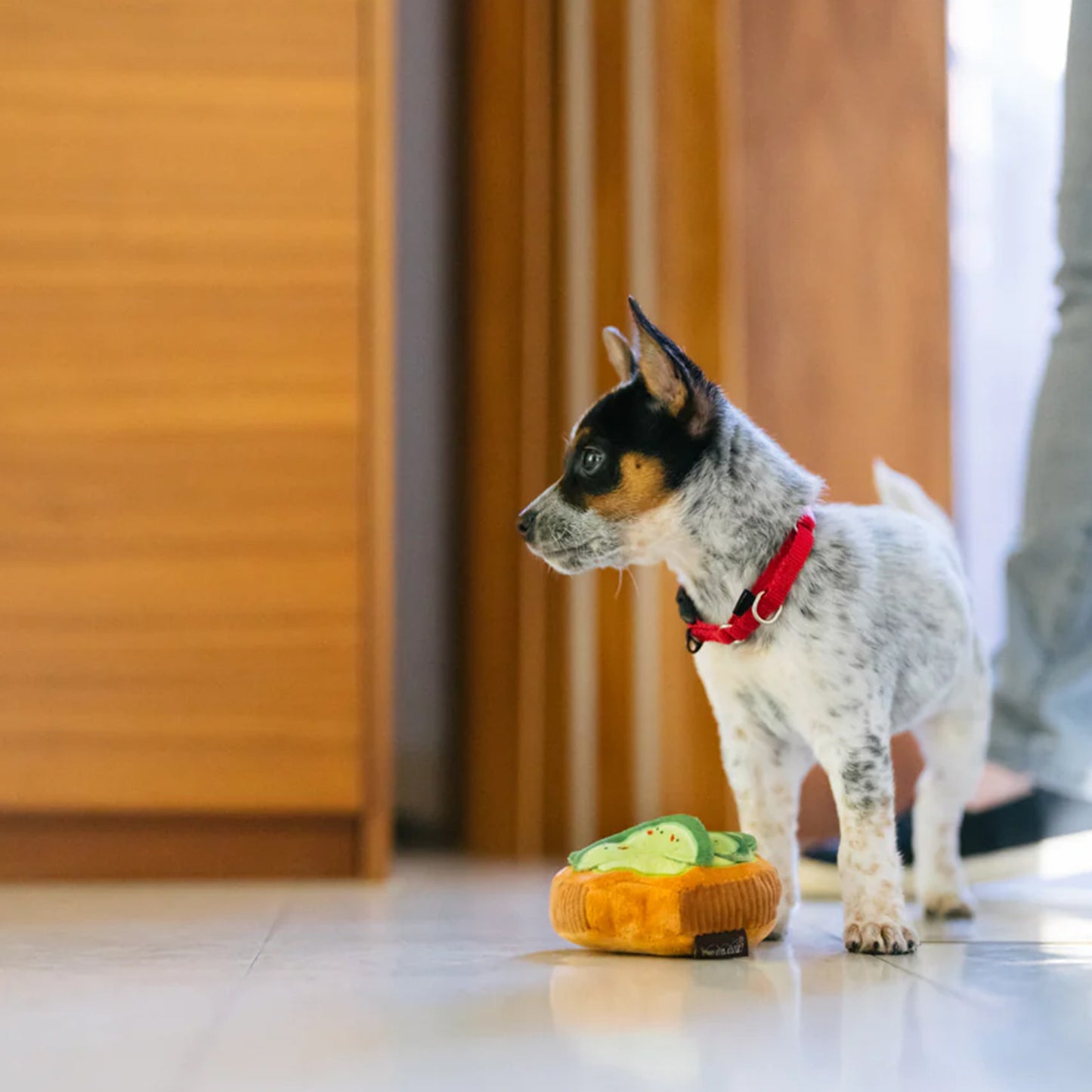 Barking Brunch kolekcija - Avocado Toast Toy