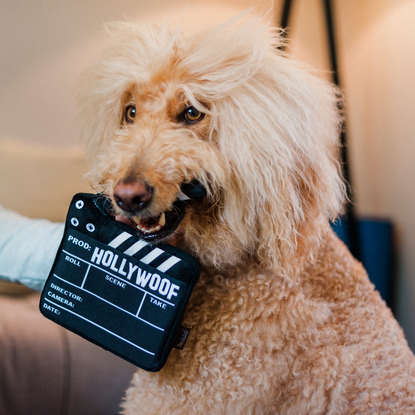 Hollywoof Cinema Collection – Doggy Director lentos žaislas