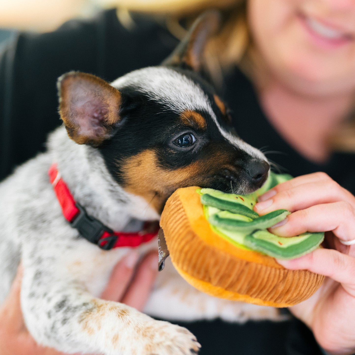 Barking Brunch kolekcija - Avocado Toast Toy