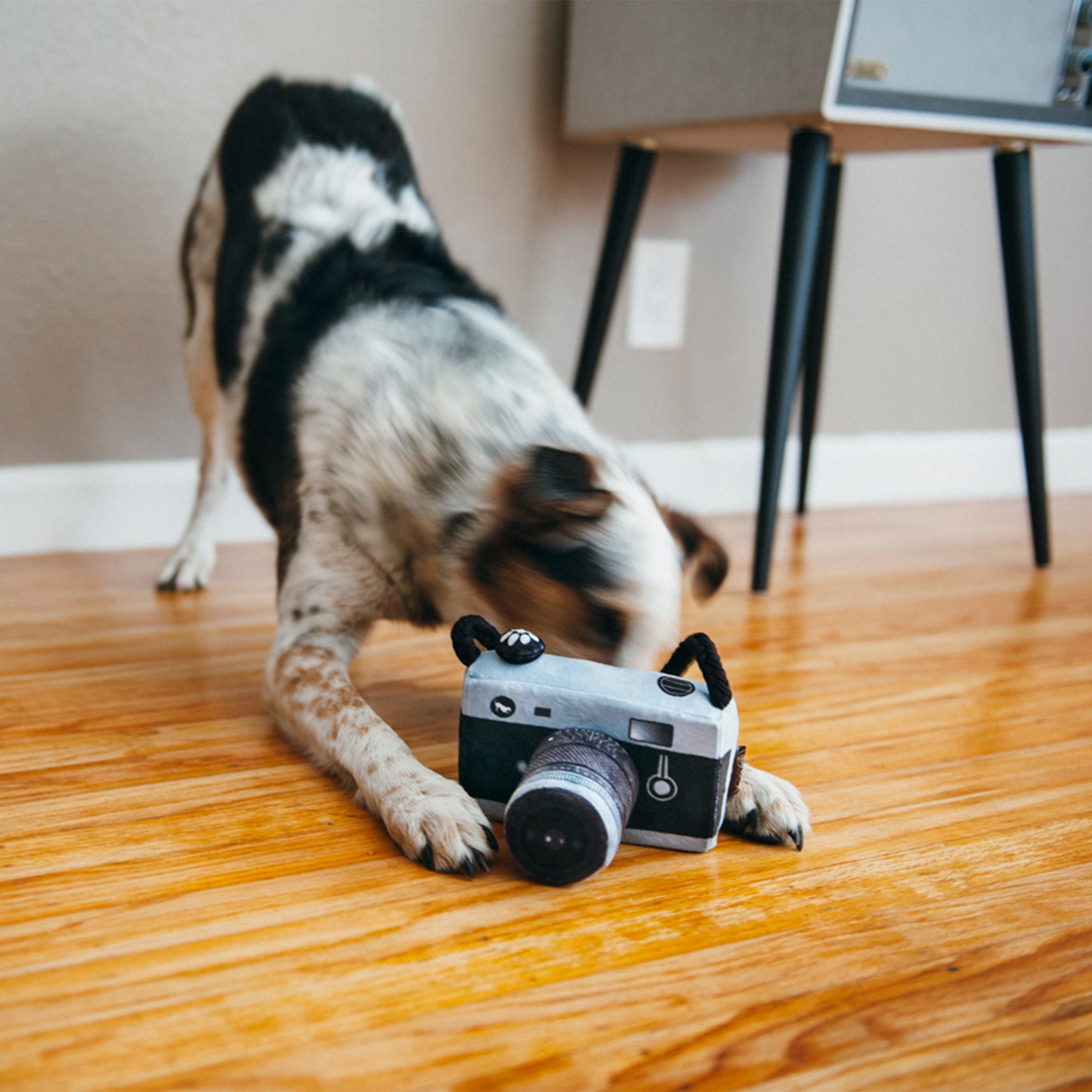 „Globetrotter“ kolekcija – fotoaparato žaislas „Lens Licker“.