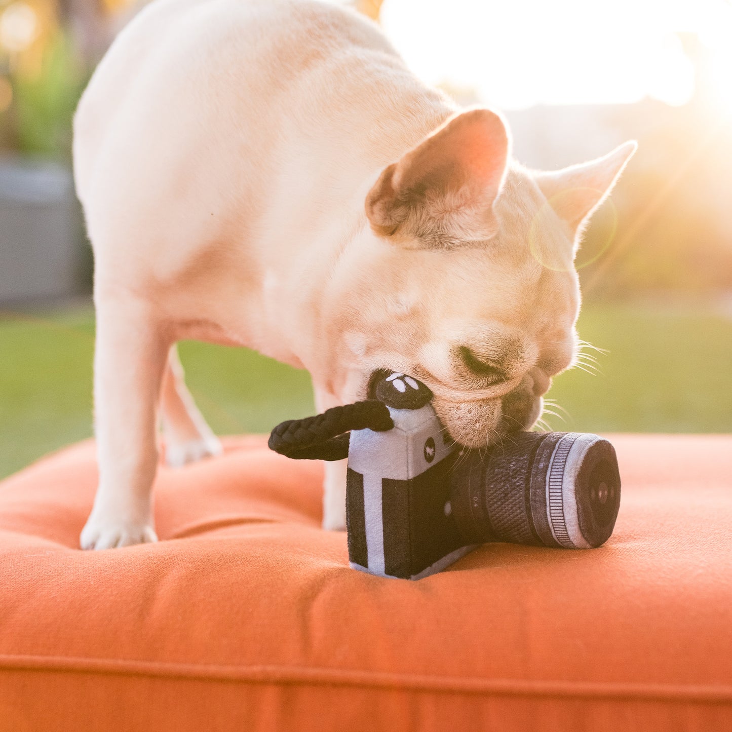„Globetrotter“ kolekcija – fotoaparato žaislas „Lens Licker“.