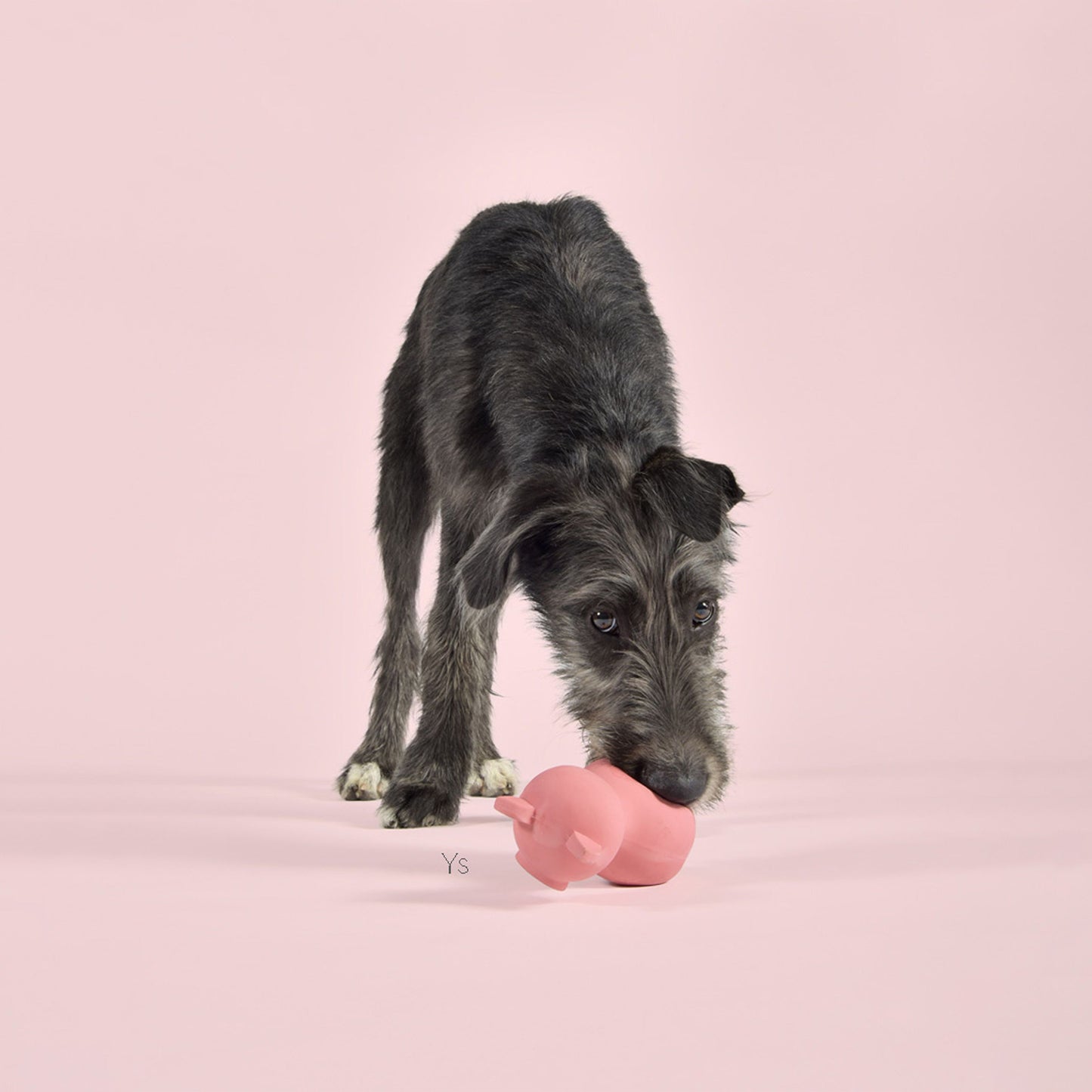 Didelis latekso žaislas - kiaulytė Pinky