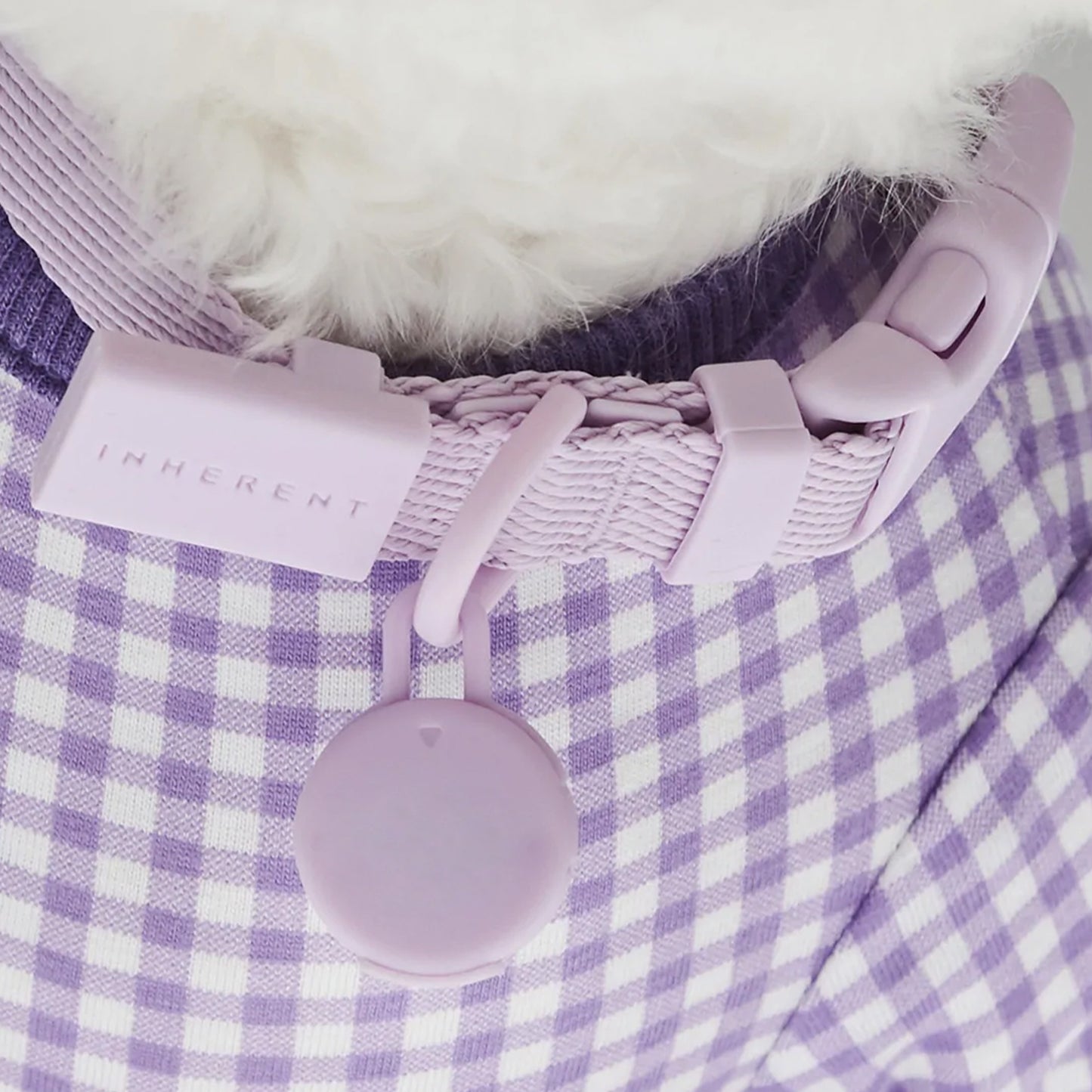 Macaron antkaklis šunims ir katėms - levandų spalvos