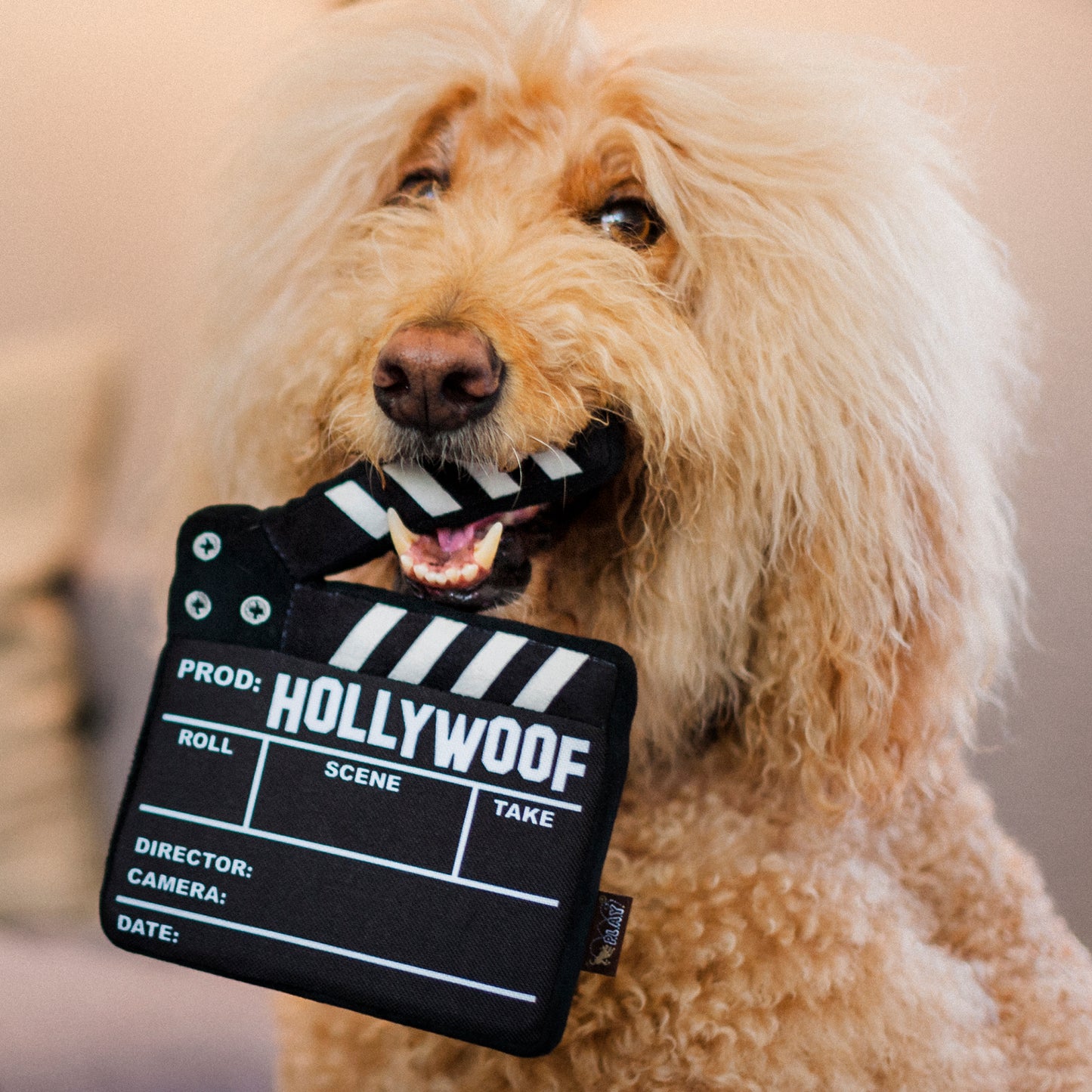 Hollywoof Cinema Collection — Doggy Director Board Rotaļlieta