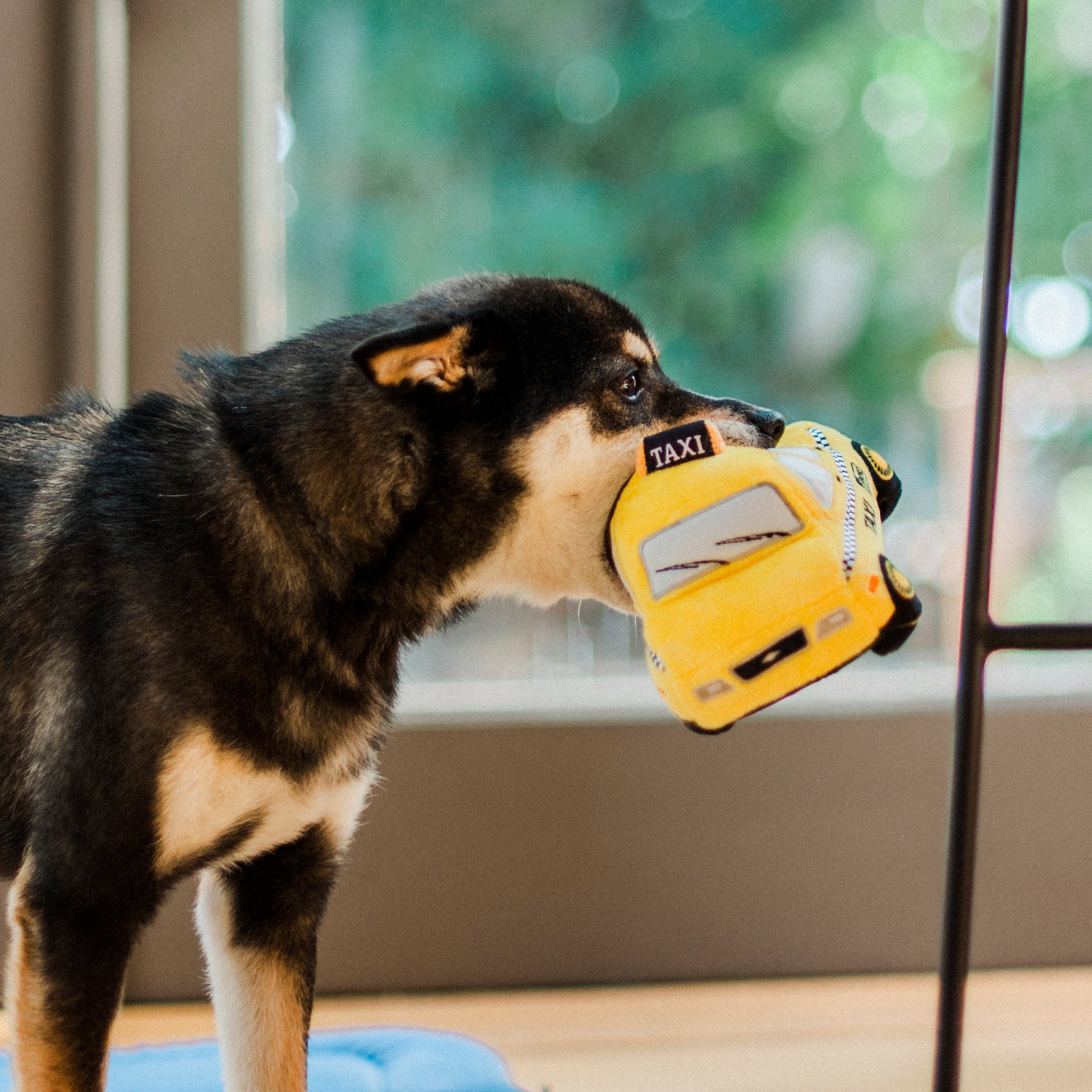 P.L.A.Y. Canine Commute Taxi Dog Toy