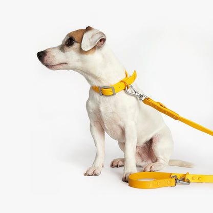 Hypoallergenic Sonia Leash - Yellow