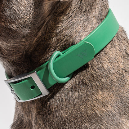 Water Resistant Collar - Green