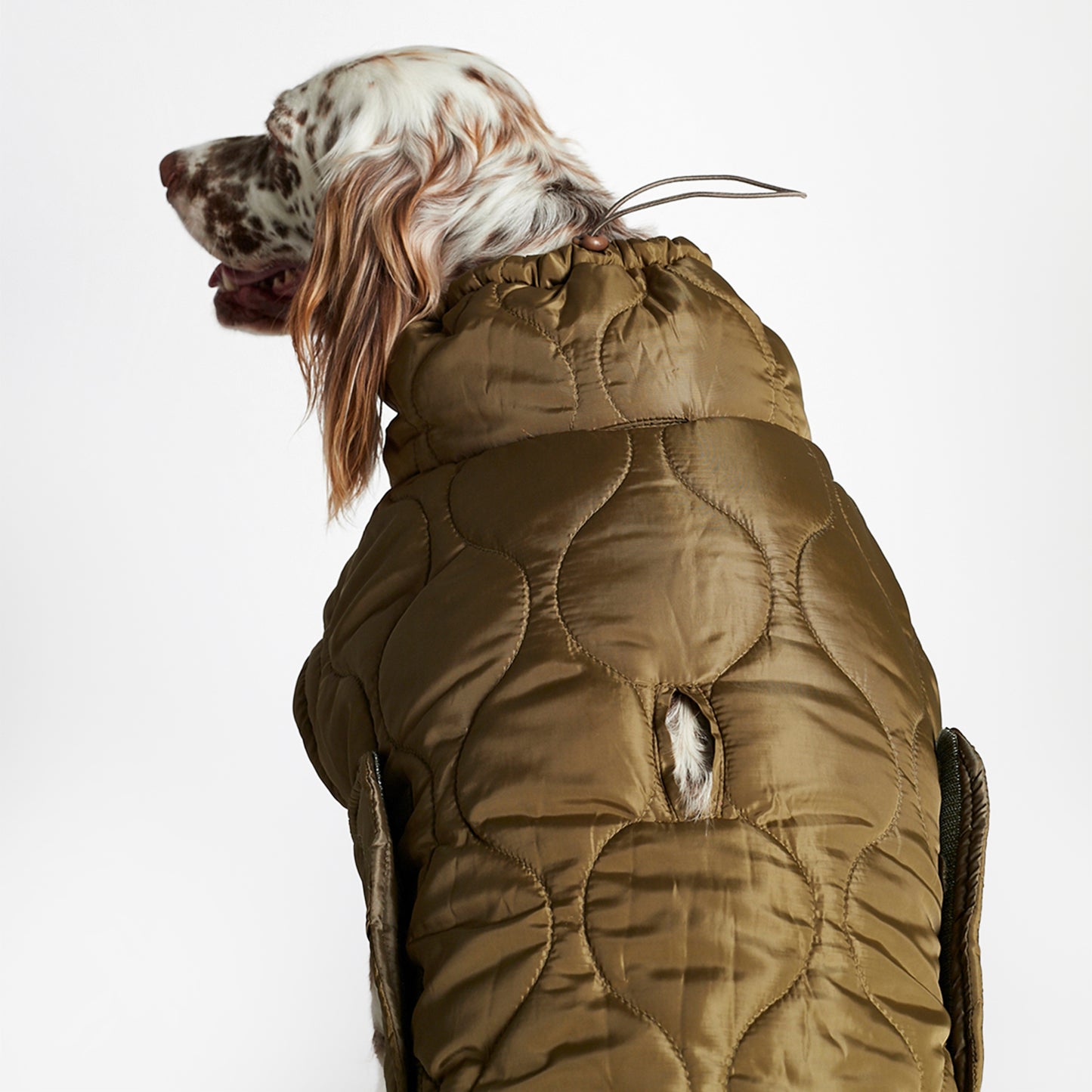Water Repellent Al Puffer - Olive Green