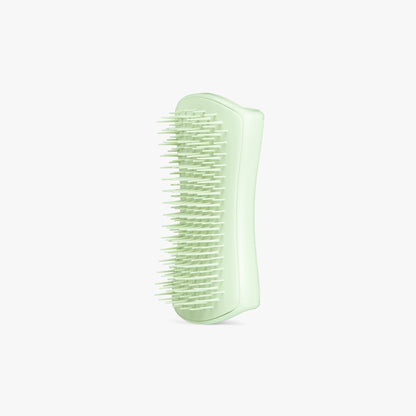 Extra Soft Green Brush for Puppies