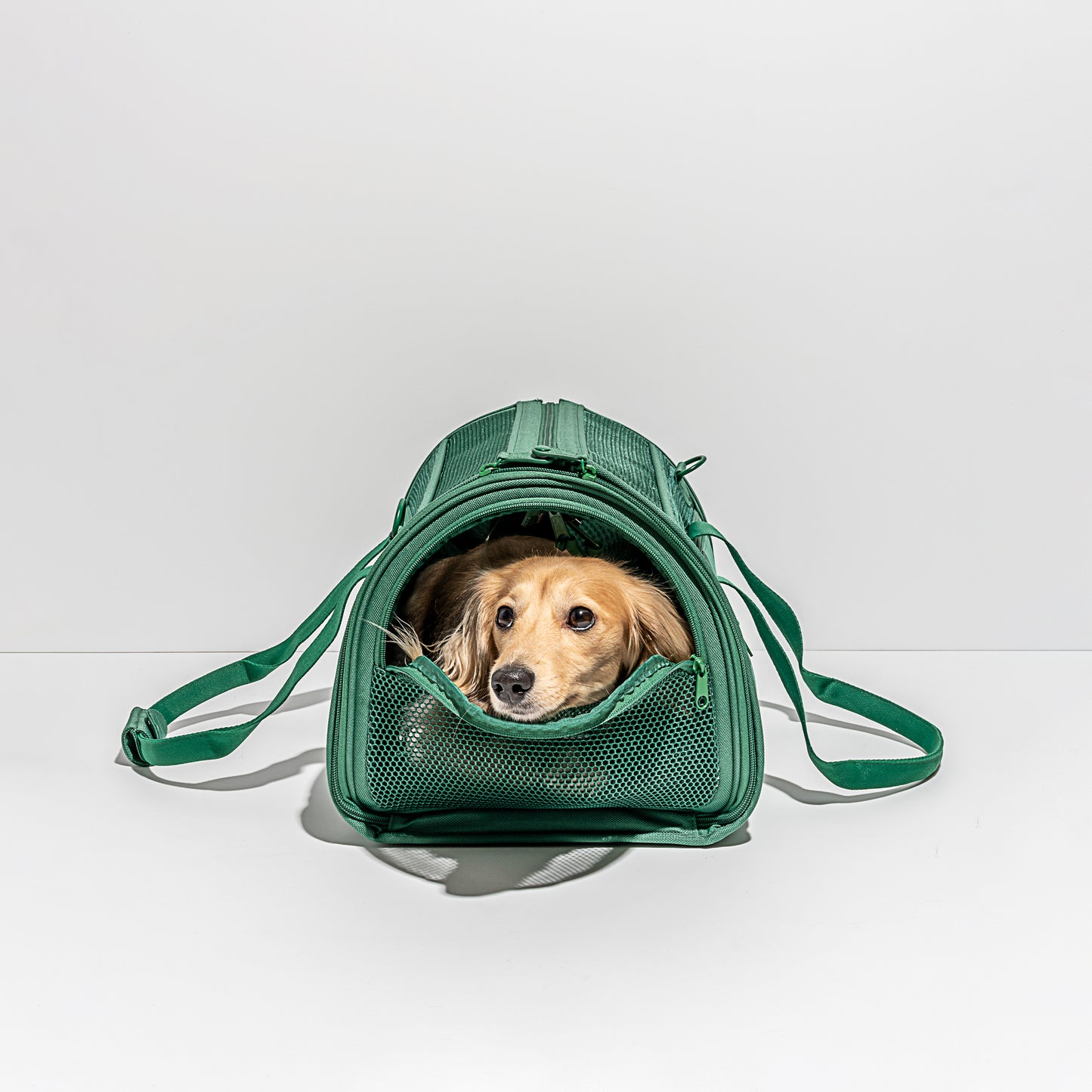 Pet Travel Carrier Bag - Green