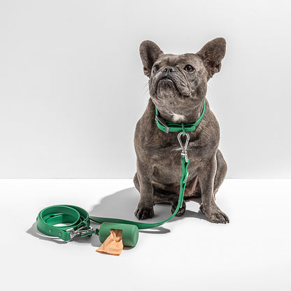 Water Resistant Collar - Green