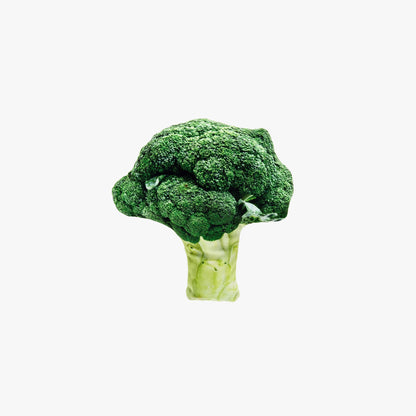 Broccoli Cat Toy - with Matatabi Plant