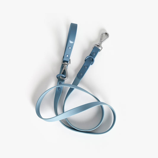 Hypoallergenic Sonia Leash - Blue