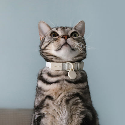 Macaron Collar for Cats & Dogs - Levander