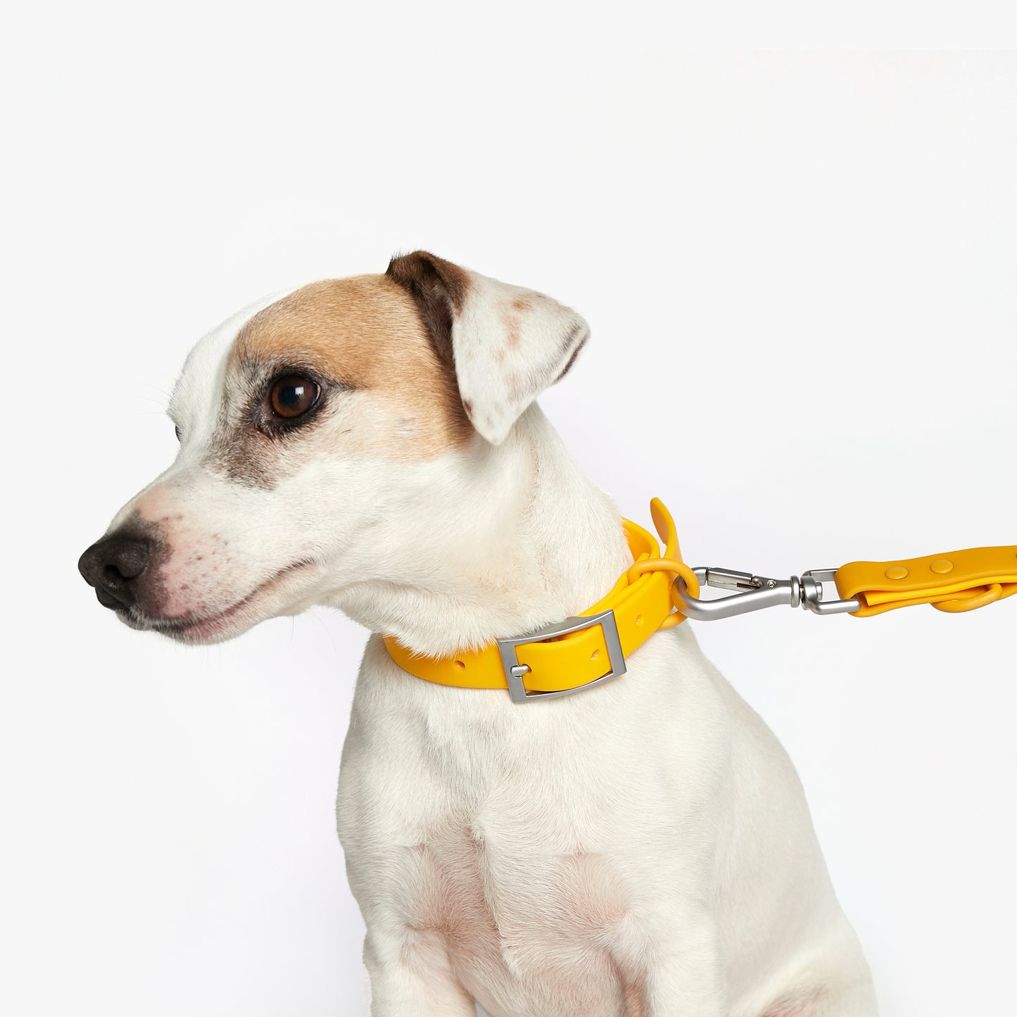 Hypoallergenic Sonia Collar - Yellow