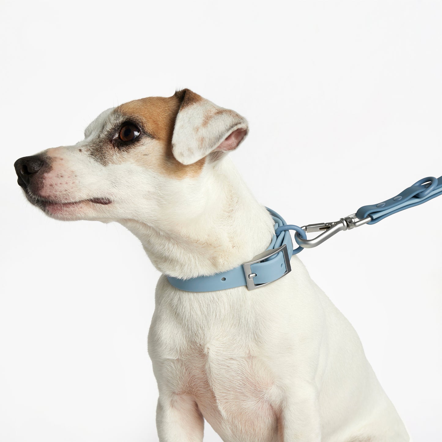 Hypoallergenic Sonia Leash - Blue