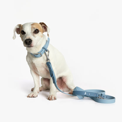 Hypoallergenic Sonia Leash - Blue